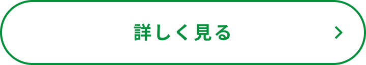 詳しく見る